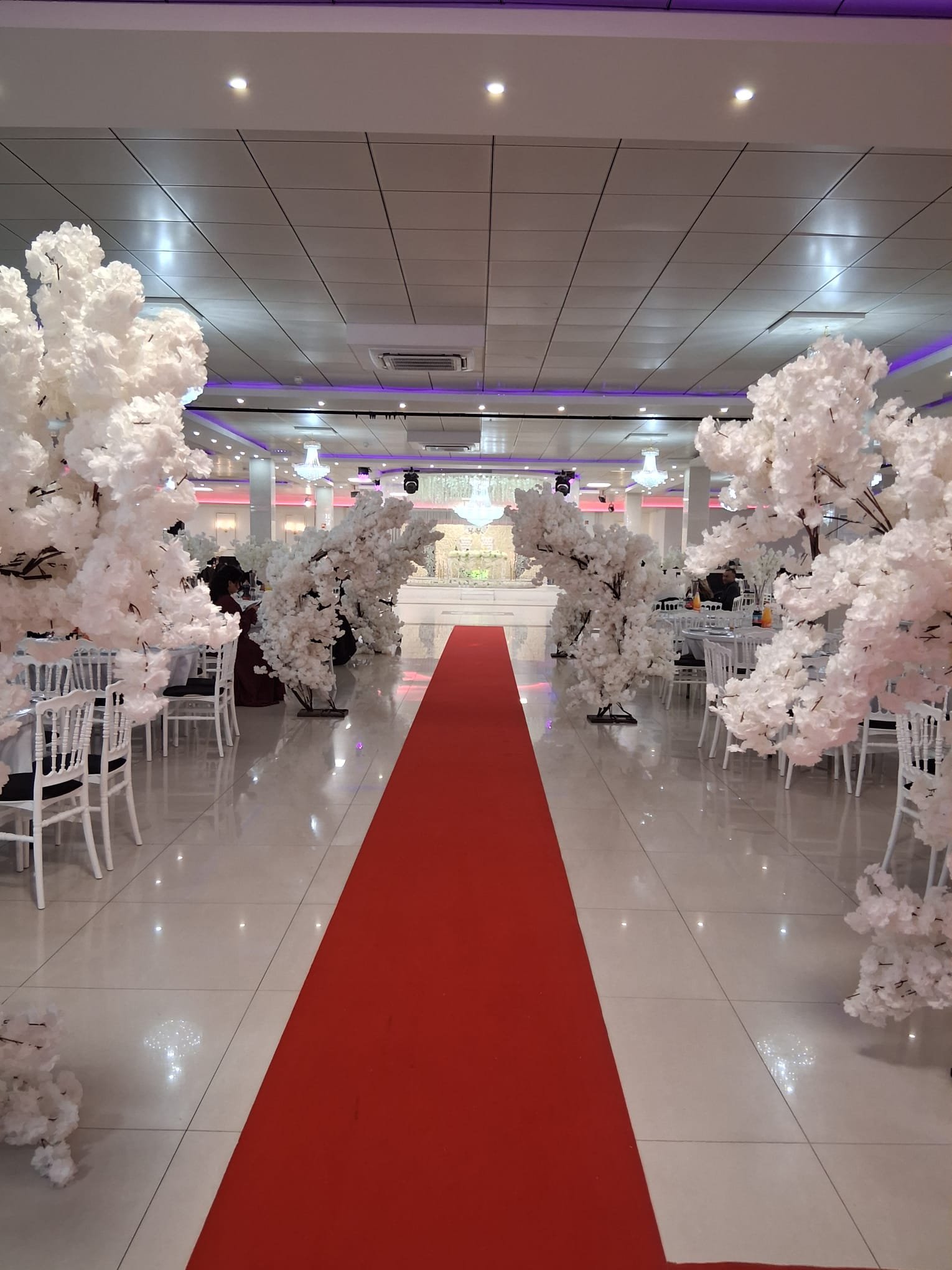 Trouwlocatie met rode loper en bloesembomen in Partycentrum Elegance Lelystad